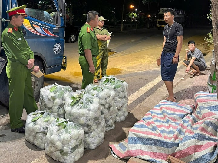 Phát hiện hơn 3 tạ rau củ nhiễm hoá chất độc hại ở Sơn La- Ảnh 1.