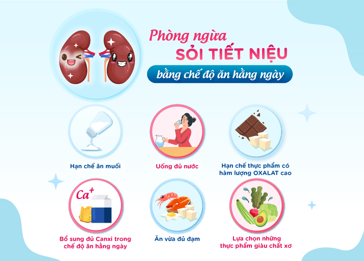 Sỏi tiết niệu hiểm hoạ thầm lặng có thể gây suy thận và tử vong- Ảnh 2.
