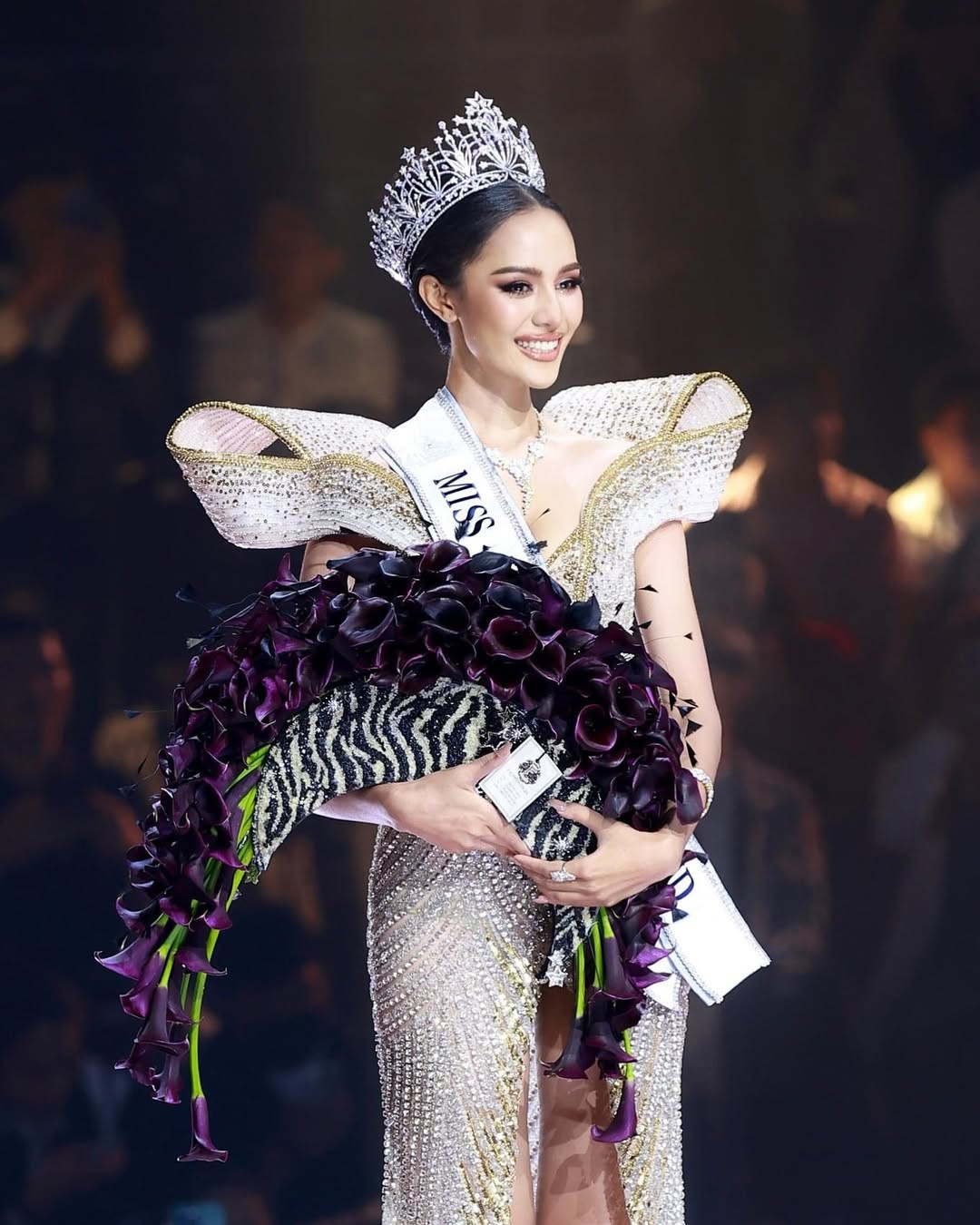 snapins ai_3412899611101671917.jpg