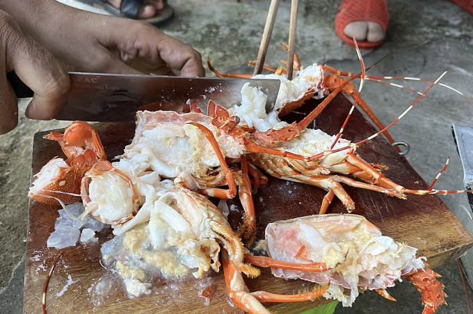 Bơm thạch rau câu 'biến' tôm hùm chết thành tươi, người nội trợ làm cách nào nhận biết đúng tôm hùm tươi?- Ảnh 1.