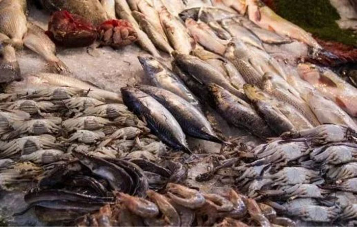 Loại cá này chứa chất gây ung thư hàng đầu Bác sĩ cảnh báo Dù thèm đến mấy cũng nên kiềm chế coi chừng gây ung thư