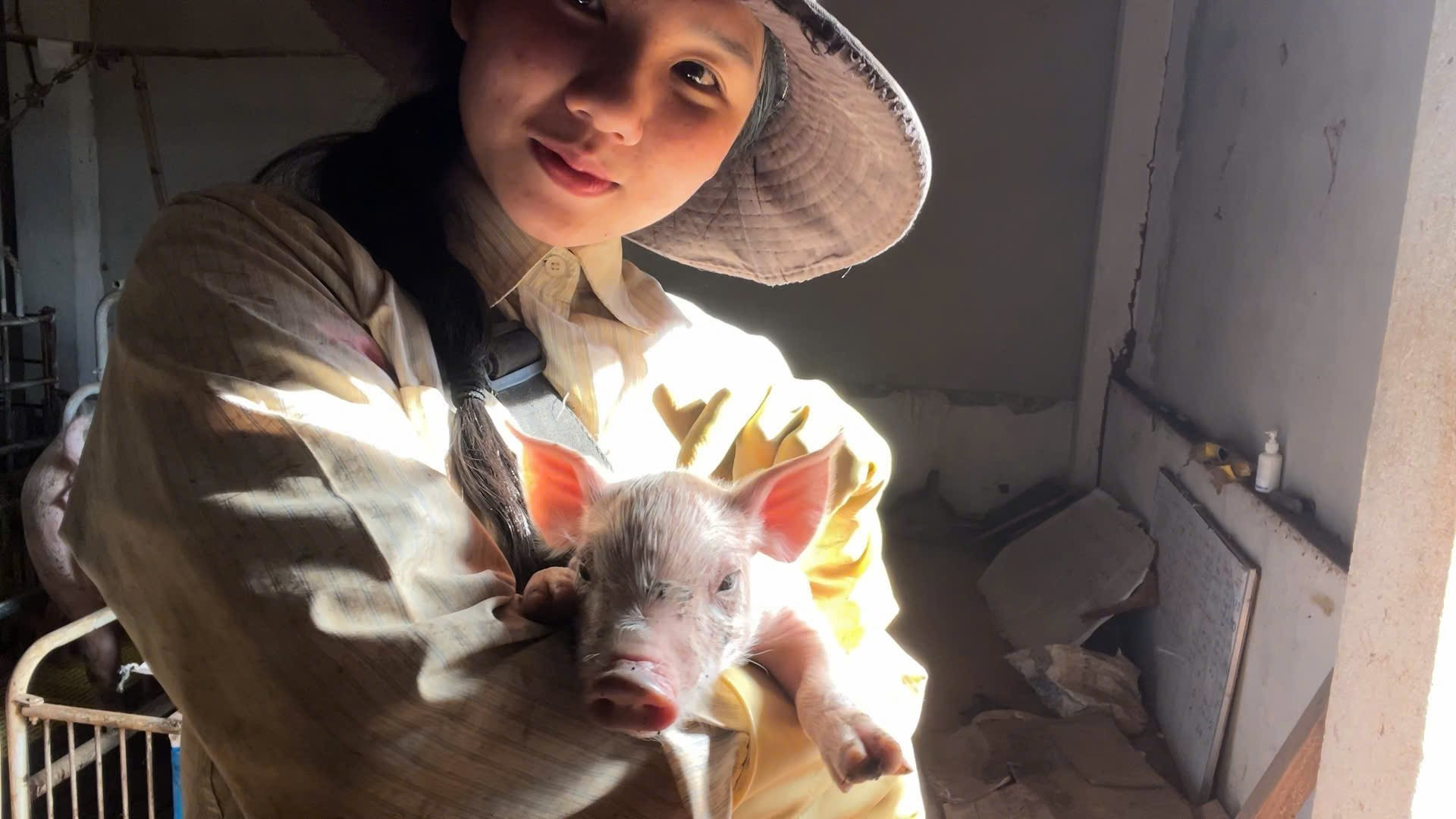 Mỹ nhân gen Z hút triệu view với cảnh vác tải cám phăng phăng nuôi 200 con lợn - 7