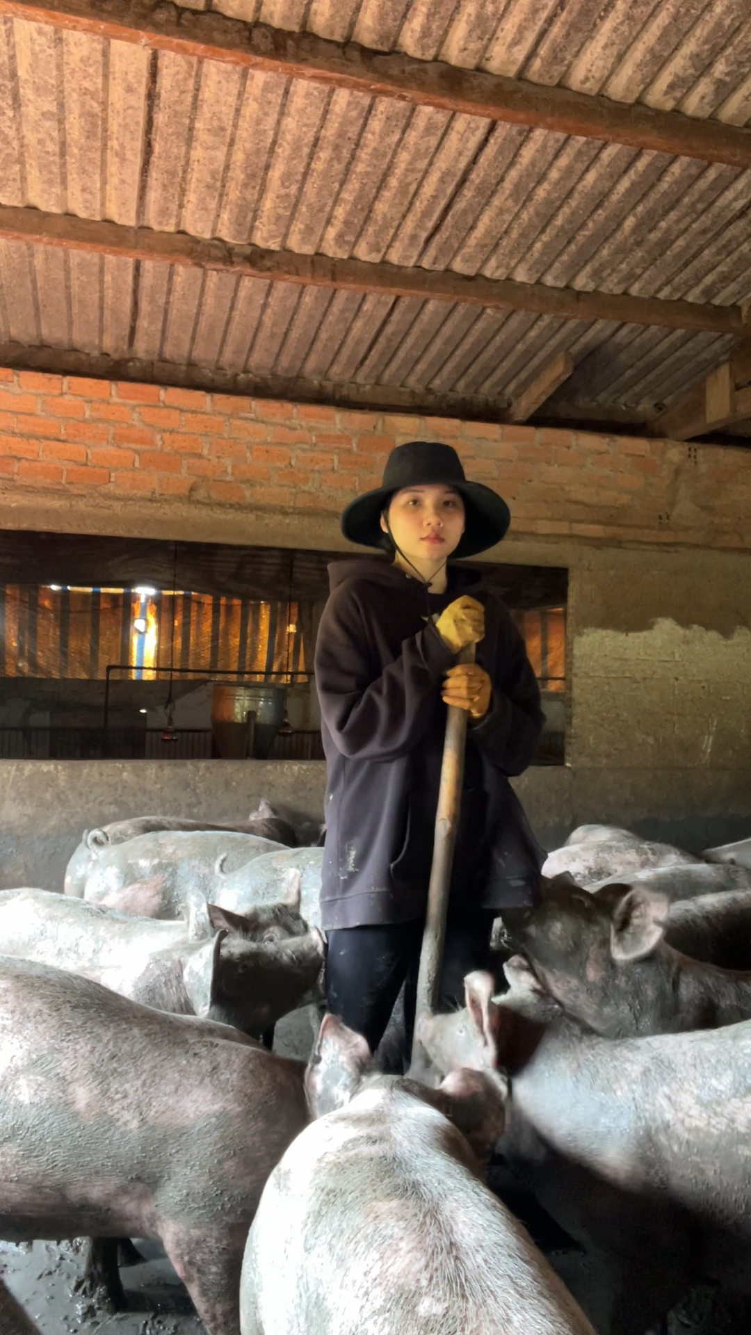 Mỹ nhân gen Z hút triệu view với cảnh vác tải cám phăng phăng nuôi 200 con lợn - 5