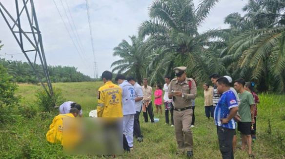 Trèo lên tháp truyền tải điện cao thế, nam thanh niên bị điện giật tử vong- Ảnh 1.