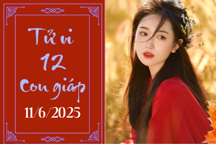 Tử vi 12 con giáp hôm nay ngày 11/6/2025: Sửu may mắn, Dậu thuận lợi