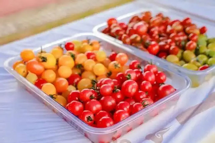Người phụ nữ 45 tuổi bị gan nhiễm mỡ Cô ăn cà chua mỗi ngày sau 3 tháng tái khám bác sĩ hỏi Ăn như thế nào