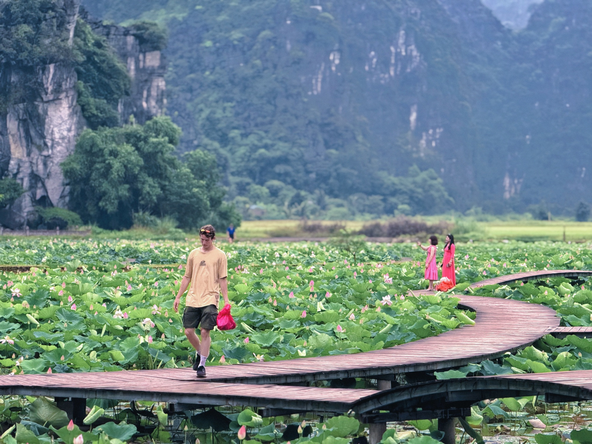 Đầm sen Hang Múa - Ảnh 1.