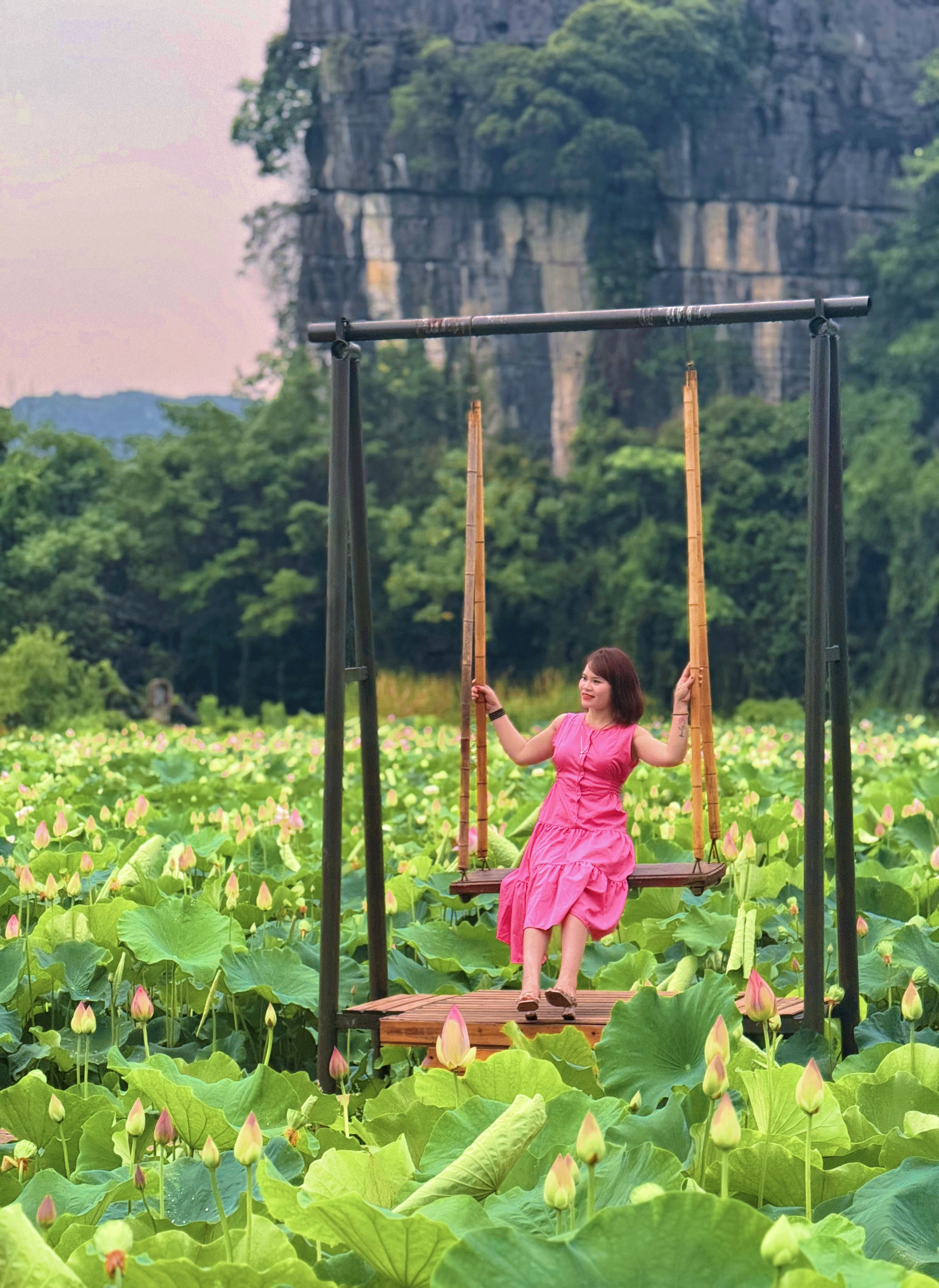 Đầm sen Hang Múa - Ảnh 13.