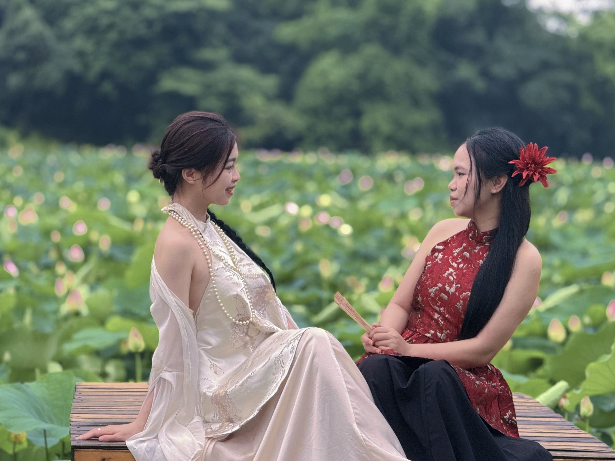 Đầm sen Hang Múa - Ảnh 17.