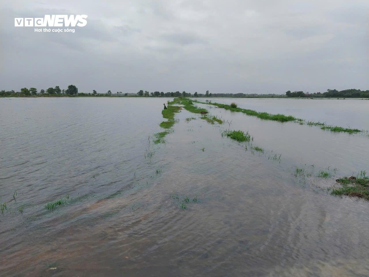 Lũ lên nhanh, nhiều vùng từ Huế đến Quảng Bình ngập trong nước - 9