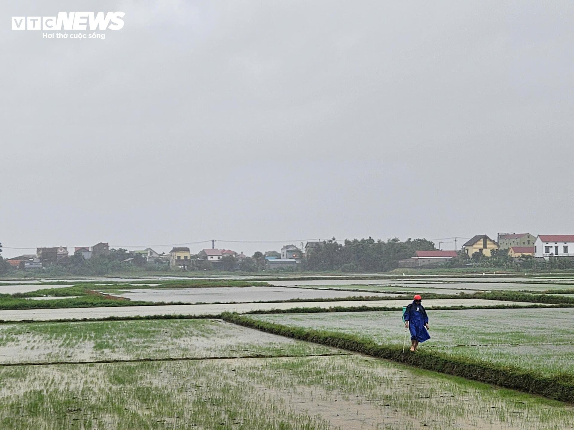 Lũ lên nhanh, nhiều vùng từ Huế đến Quảng Bình ngập trong nước - 13