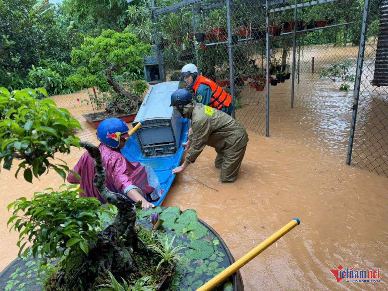 W-d022e8c9 ab41 489f a4b8 e747f03a5573.jpg