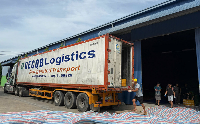 Phát hiện hơn 20 tấn nội tạng bốc mùi giấu trong container- Ảnh 2.