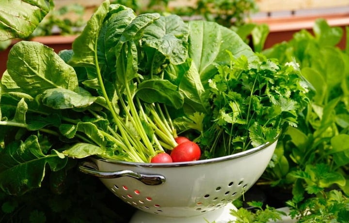 Bằng mắt thường không thể nhận biết rau có thuốc trừ sâu hay chất kích thích. (Ảnh minh họa: Hue Nguyen)