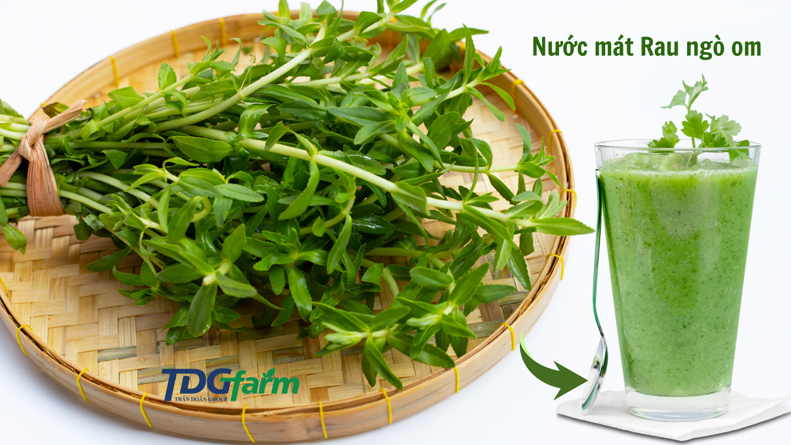 Loại rau mọc hoang lại là 'trợ thủ' thầm lặng giúp lợi mật, tiêu viêm, hỗ trợ ngừa ung thư gan - Ảnh 4.