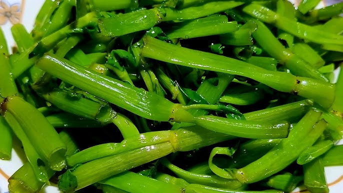 Loại rau mọc hoang lại là 'trợ thủ' thầm lặng giúp lợi mật, tiêu viêm, hỗ trợ ngừa ung thư gan - Ảnh 3.