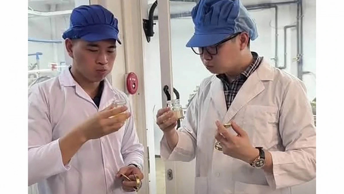 yen sao gia re, doanh nghiep ne, kol im lang, can kiem tra lam ro hinh anh 2