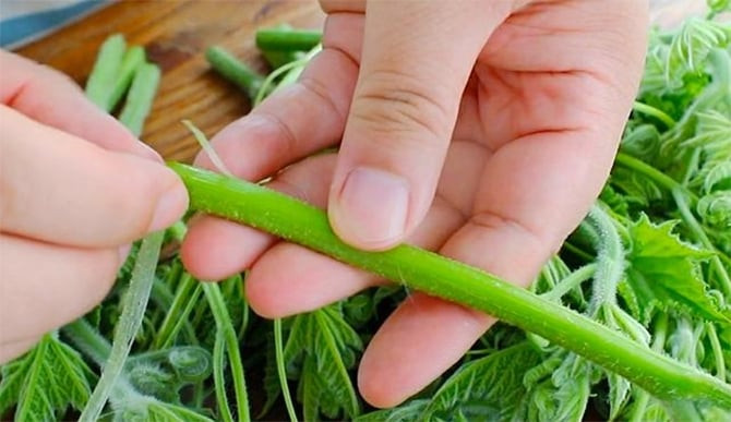 Lớp lông trên thân bí cần loại bỏ để tránh gây ngứa họng khi ăn. (Ảnh: Sohu)