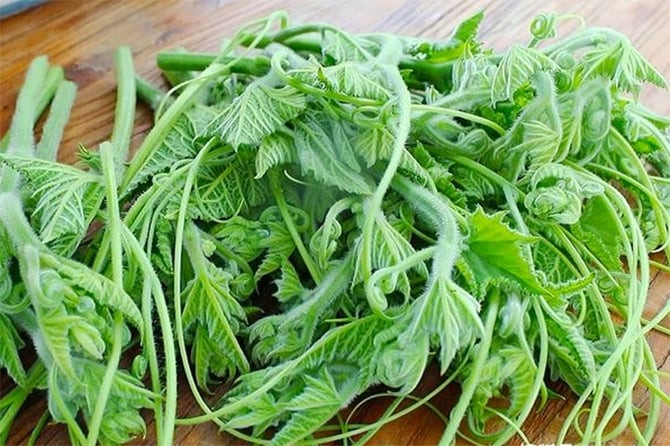 Rau bí rất tốt cho sức khỏe. (Ảnh: Sohu)