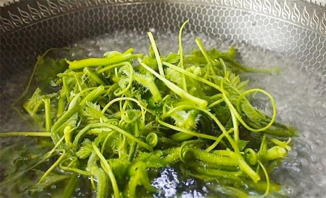 Chần qua nước sôi để làm chín rau bí. (Ảnh: Sohu)