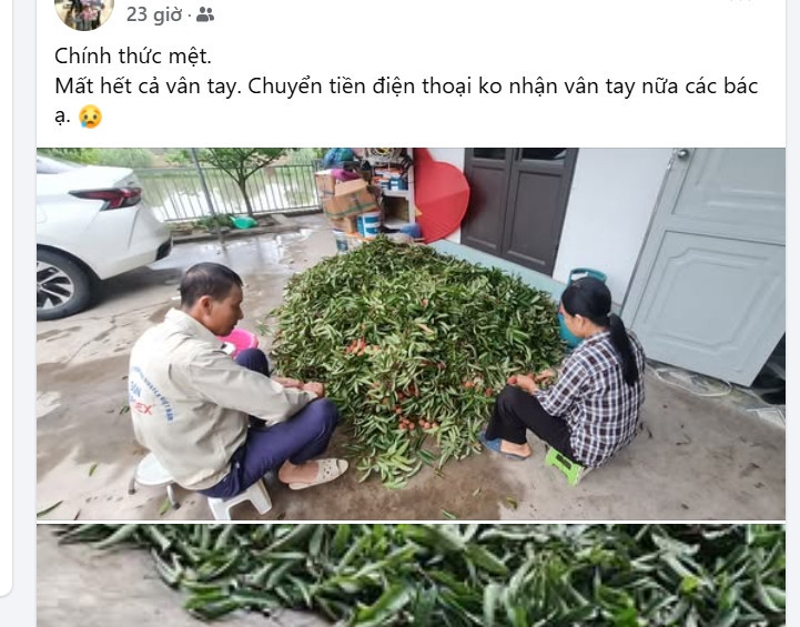 vatvai.jpg