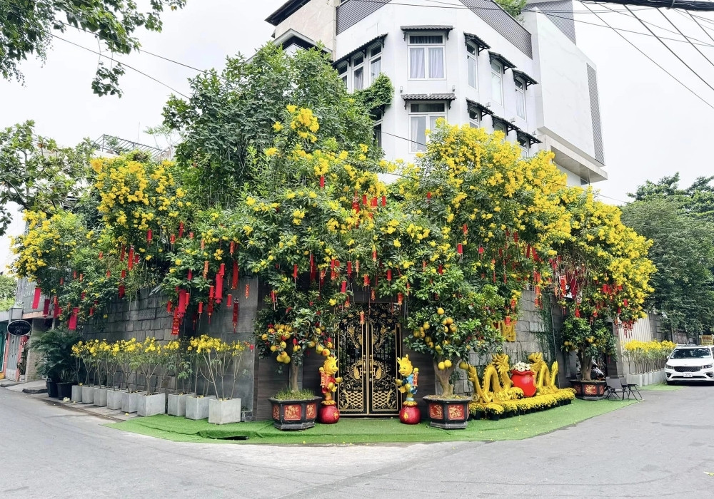 batch_Biet thu 122 8469 1726718832.jpg