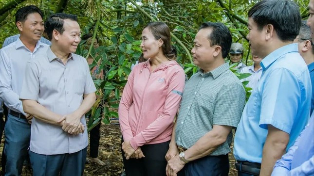 Lời giải niềm tin thị trường sầu riêng sau loạt tin đồn thất thiệt ảnh 2