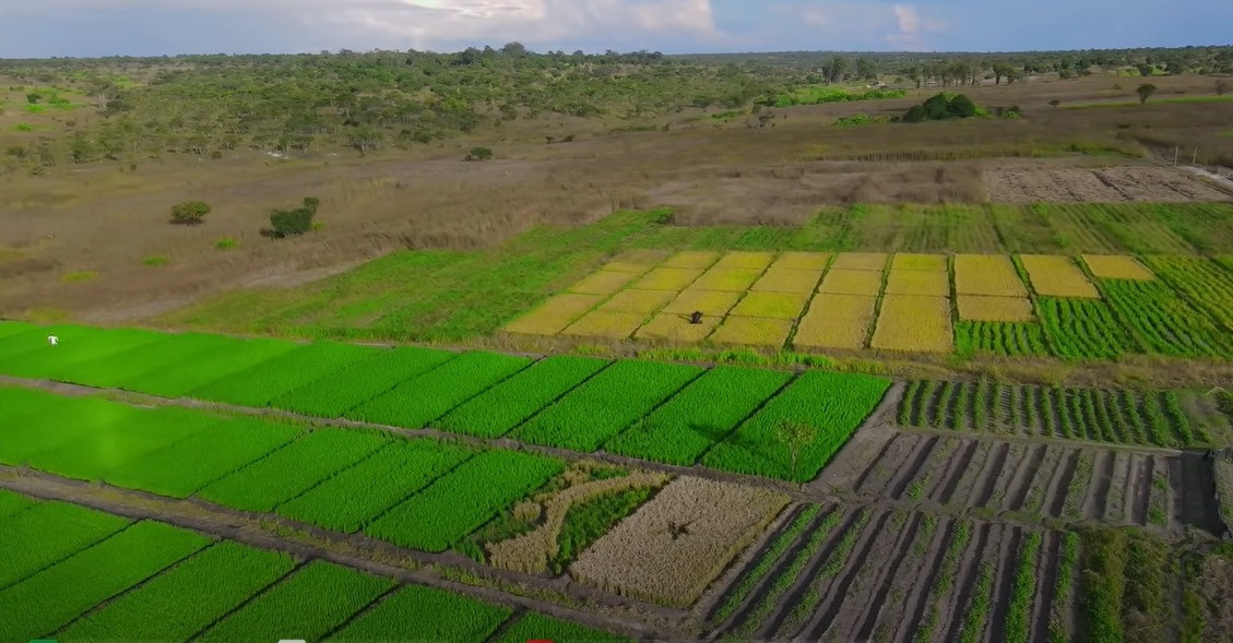 Rộ tin Quang Linh Vlog xây dựng trang trại ở châu Phi để xin tiền từ thiện