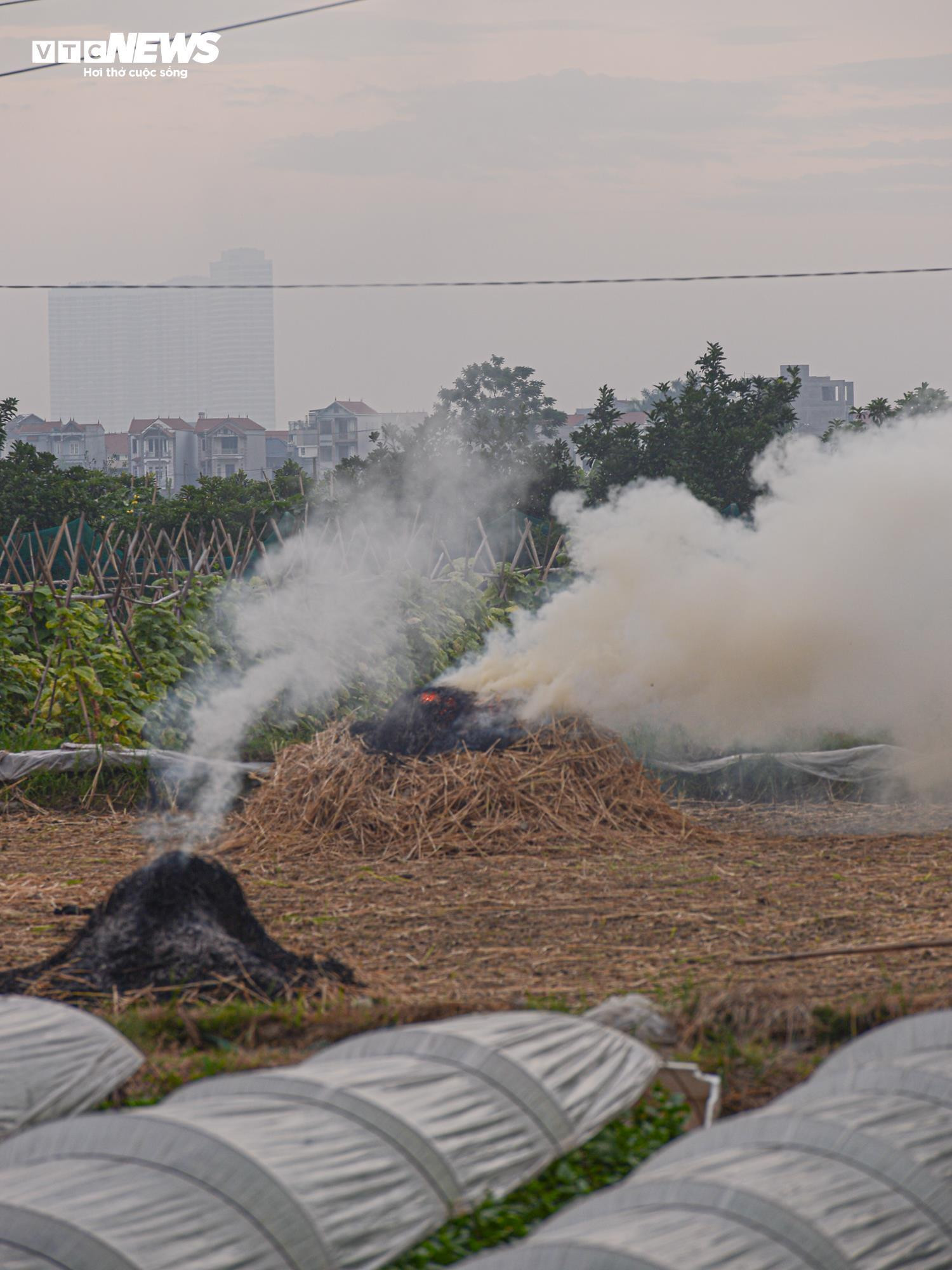 Dân đốt rơm, khói trắng trời Hà Nội, hun người đi đường - 3