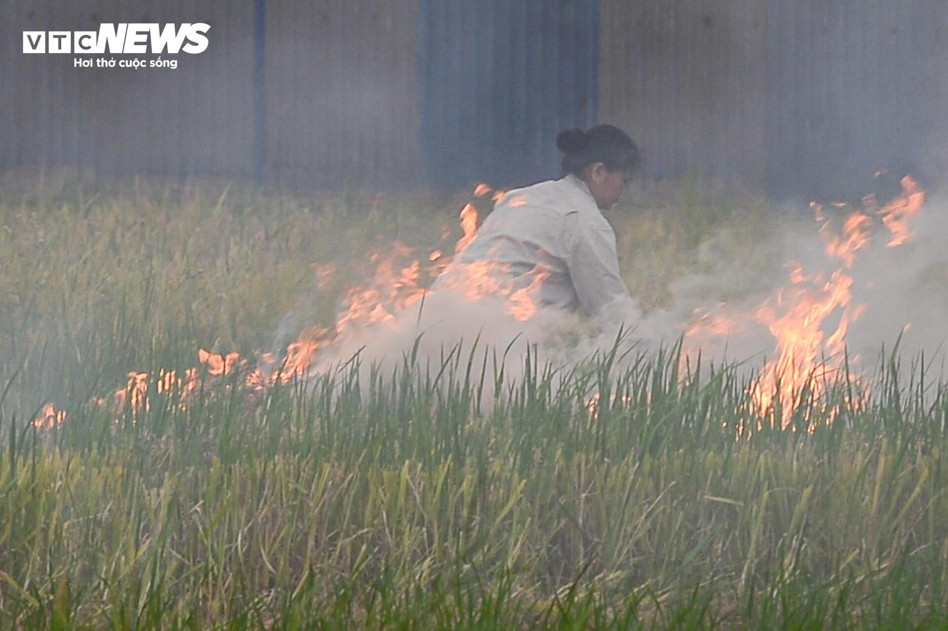 Dân đốt rơm, khói trắng trời Hà Nội, hun người đi đường - 9