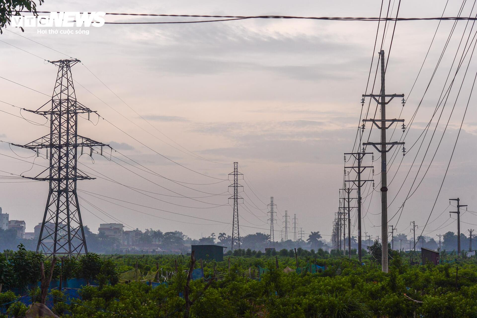 Dân đốt rơm, khói trắng trời Hà Nội, hun người đi đường - 13