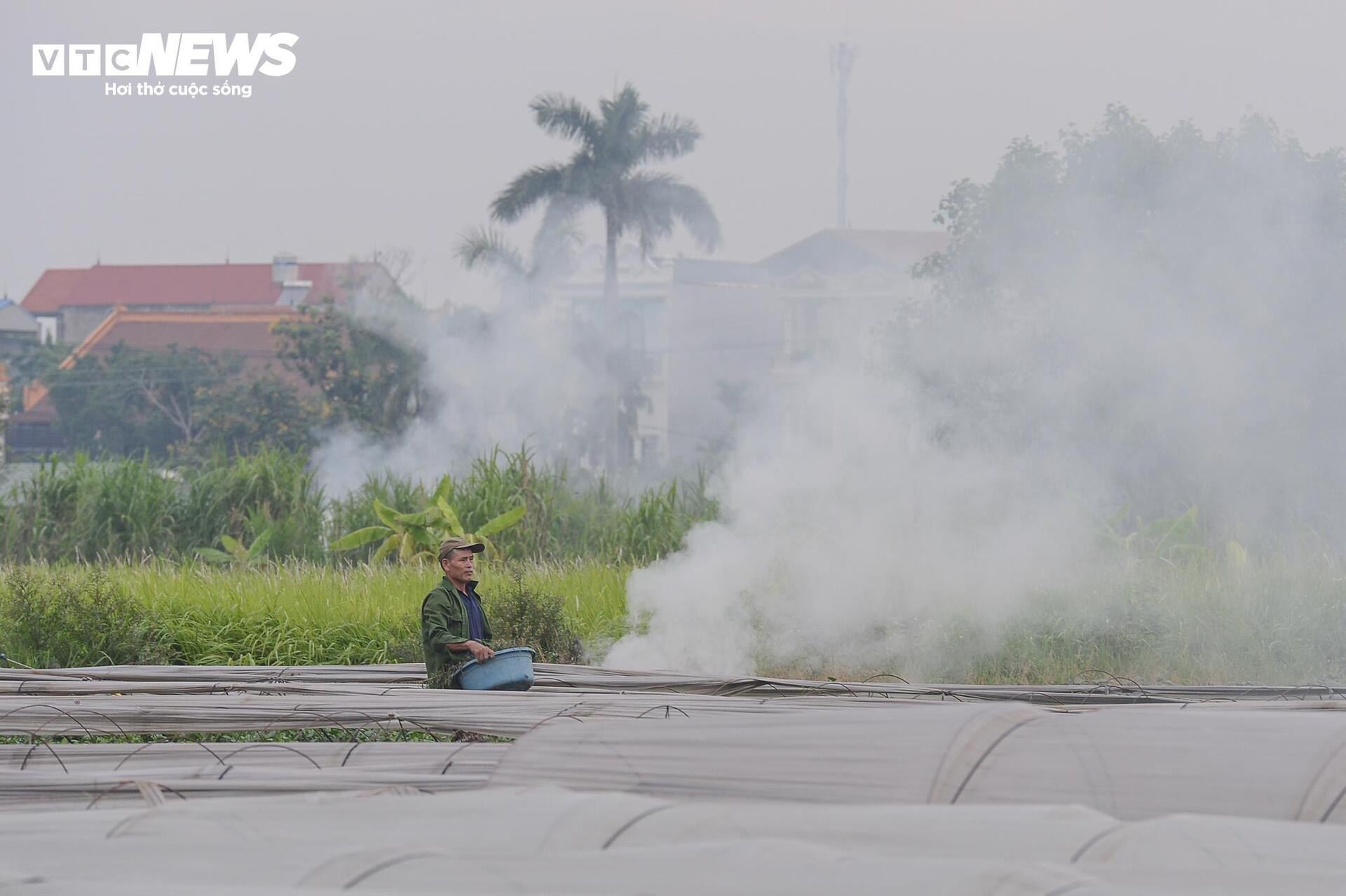 Dân đốt rơm, khói trắng trời Hà Nội, hun người đi đường - 8