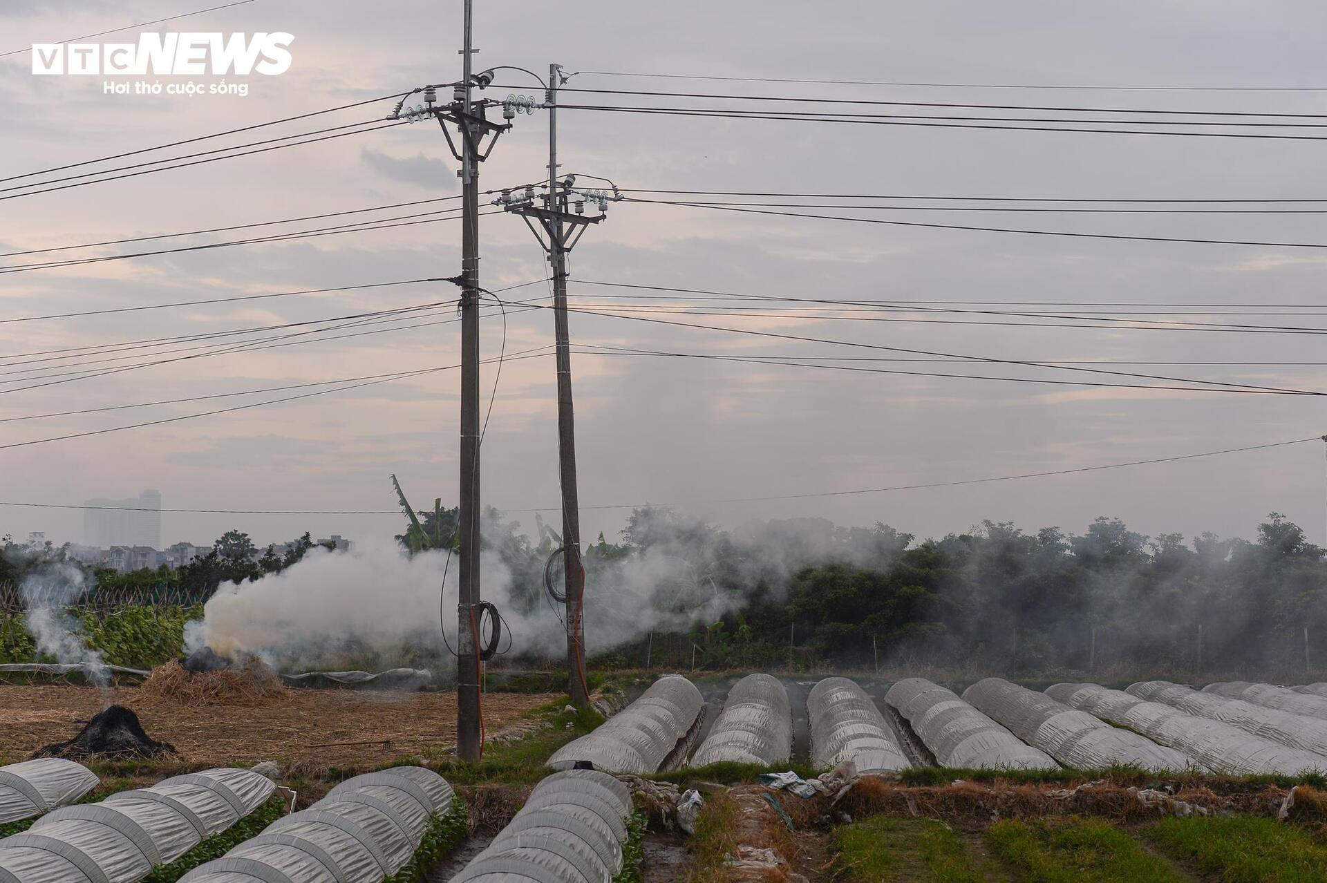 Dân đốt rơm, khói trắng trời Hà Nội, hun người đi đường - 1