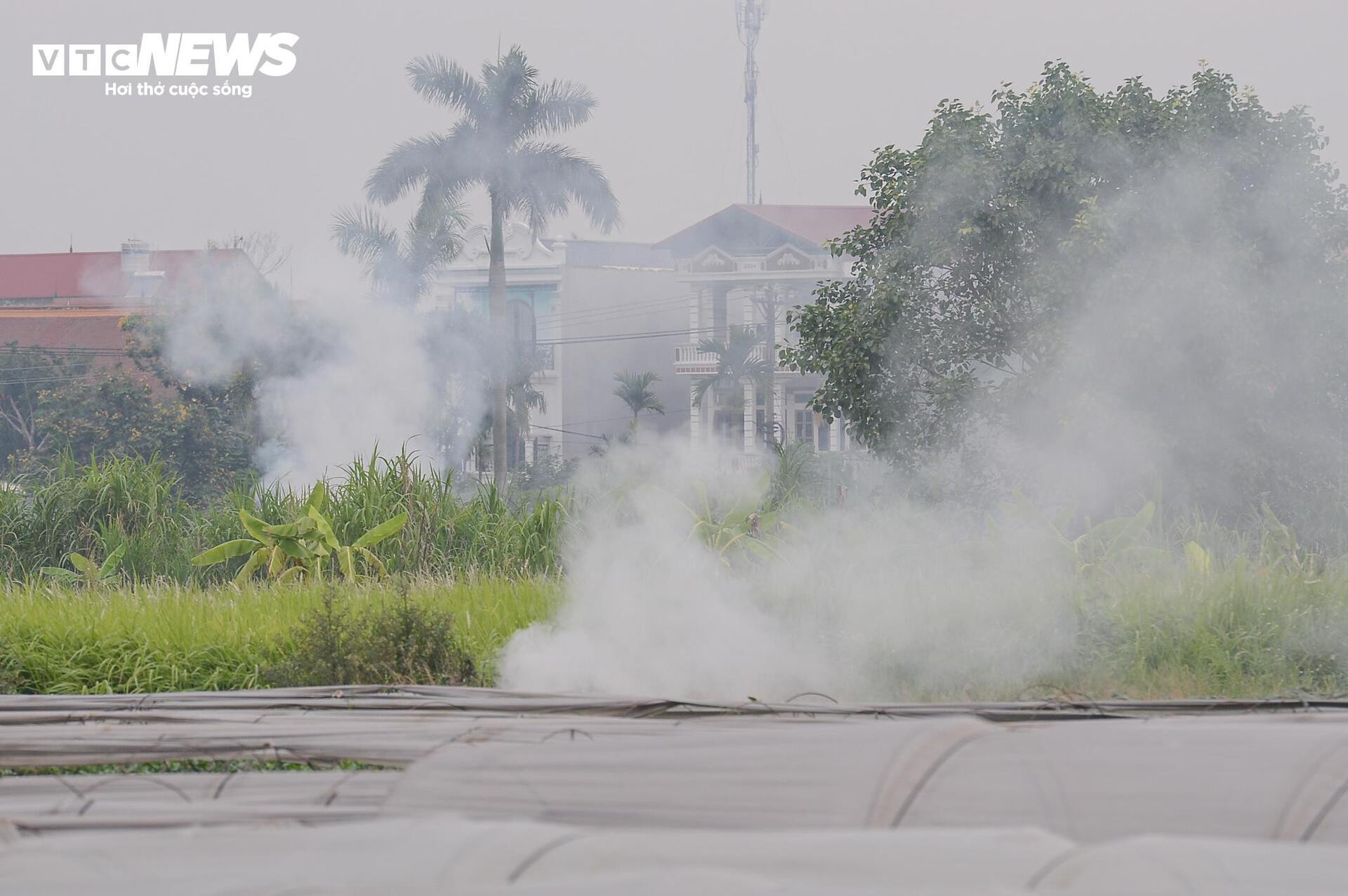 Dân đốt rơm, khói trắng trời Hà Nội, hun người đi đường - 2