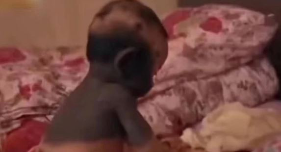 Người phụ nữ ăn món