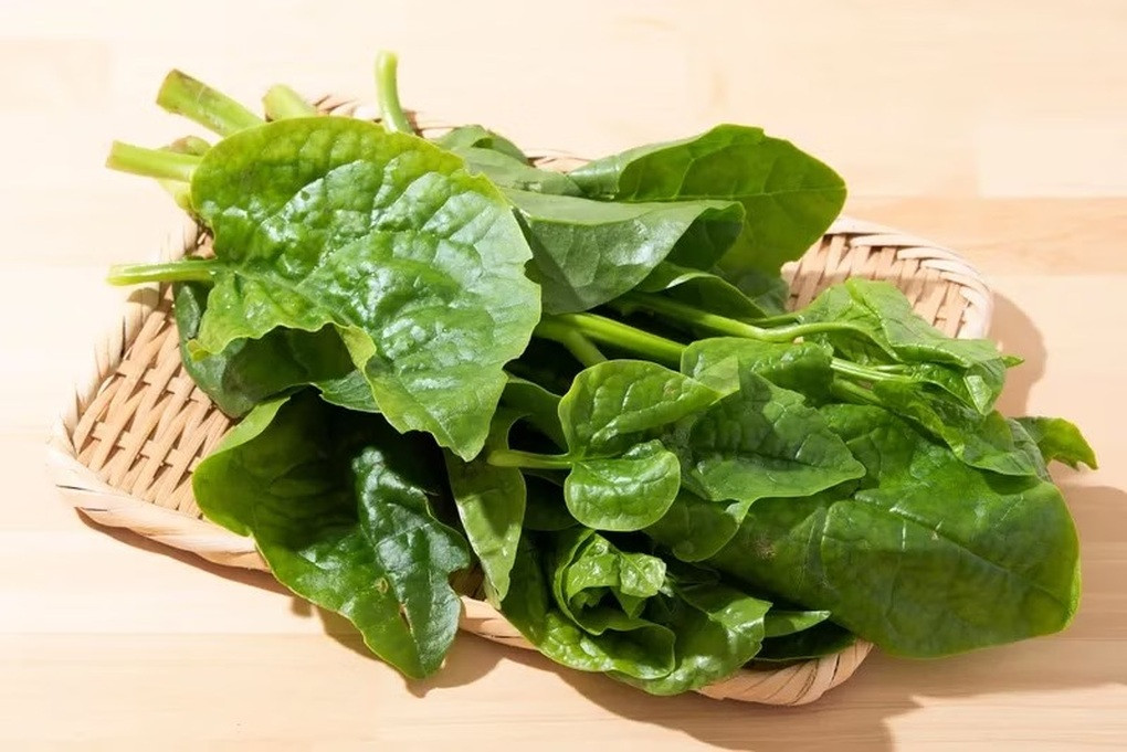 Rau rẻ tiền bán đầy chợ nhưng giúp lợi tiểu, giảm phù, làm đẹp da từ bên trong – Nhiều người vô tình bỏ qua- Ảnh 1.