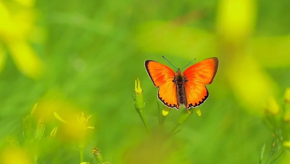 Người có ngày sinh Âm lịch kết thúc bằng 4 số này, nghèo khó chỉ là tạm thời, vận may đổ về từ nửa đời sau - Ảnh 4.