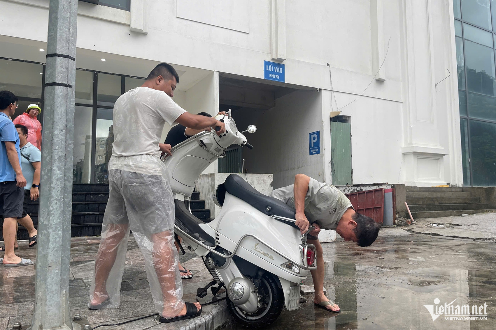 W-ff8dbc20 e50d 4116 9170 88e4f3794eea.jpeg