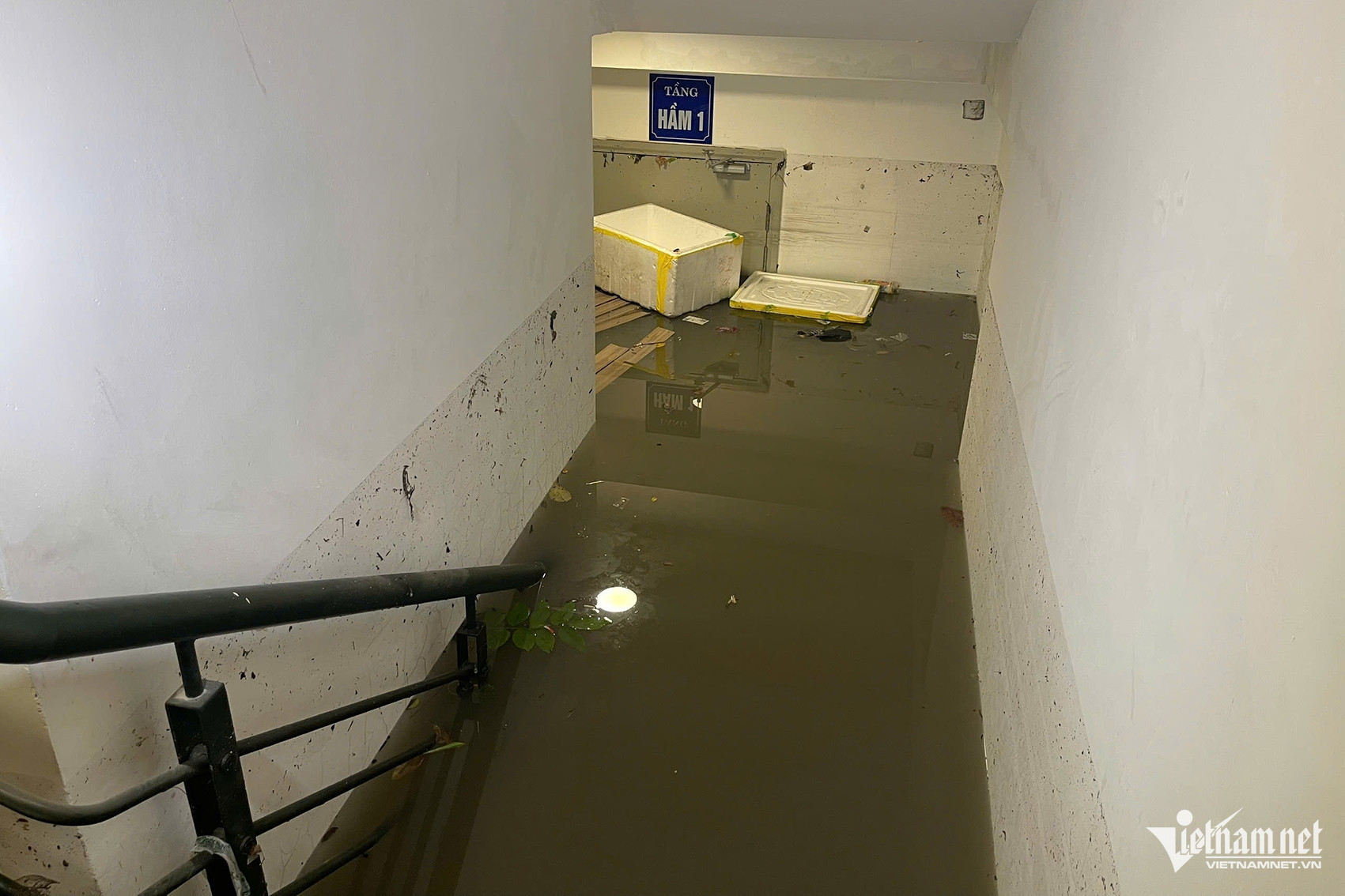 W-cc214f17 dcd3 4c51 9860 82fadb71335d.jpeg