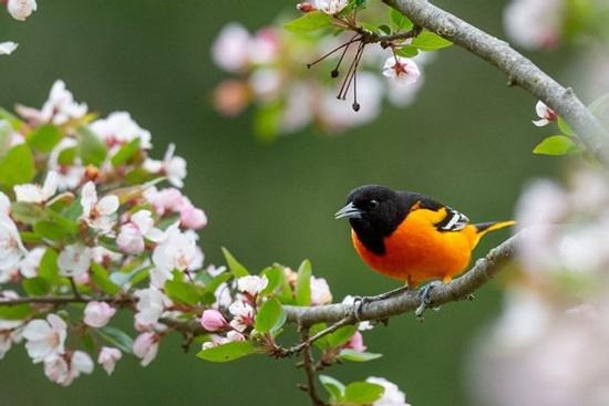 Tháng sinh Âm lịch của người có năng lực hơn người, đến trung niên sẽ tiến xa trong sự nghiệp- Ảnh 3.
