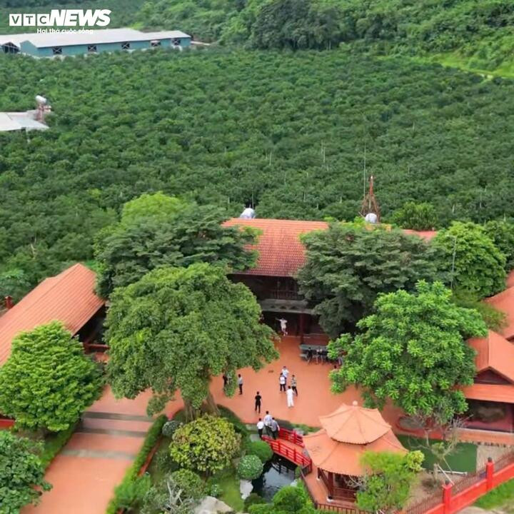 Khu trang trại rộng 34 hecta của Vi