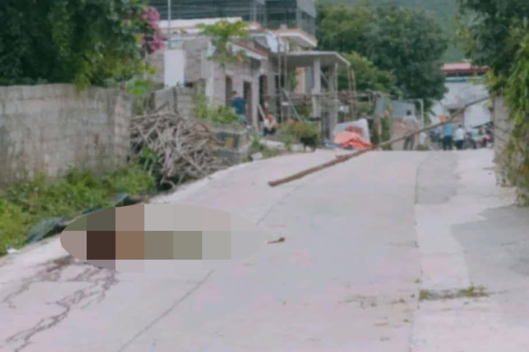 b20166de 6757 4c53 9a82 28b61ee904a6.jpg