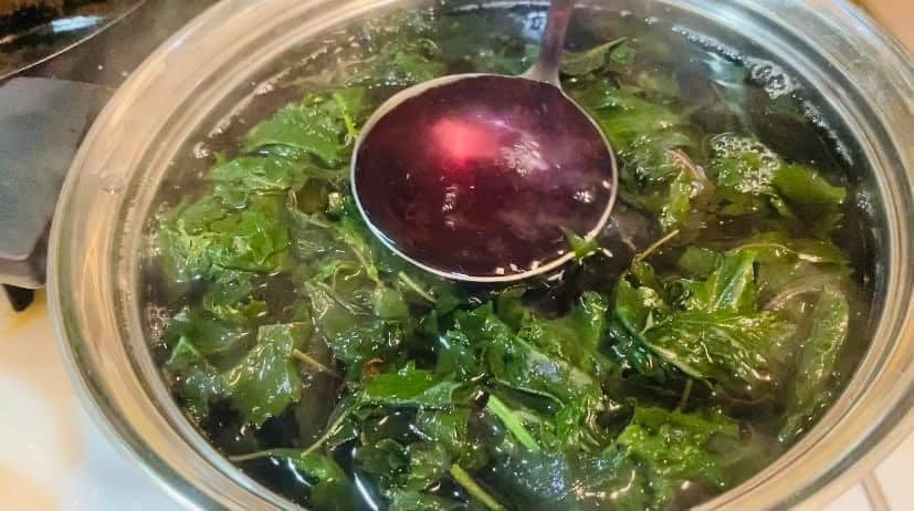 Mỗi ngày ăn vài lá này, đường huyết ổn định, da dẻ hồng hào như người trẻ – Bí quyết dân gian đang được khoa học công nhận- Ảnh 6.