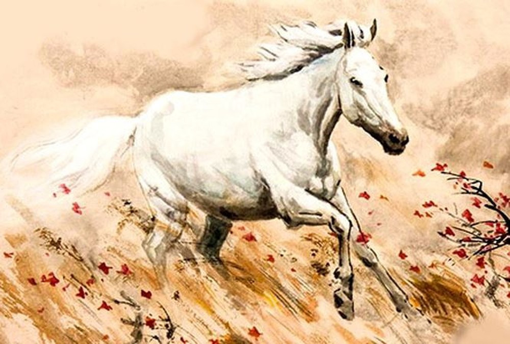 5 con giáp nữ cá tính, ngang tàng hơn cả đàn ông - Ảnh 3.