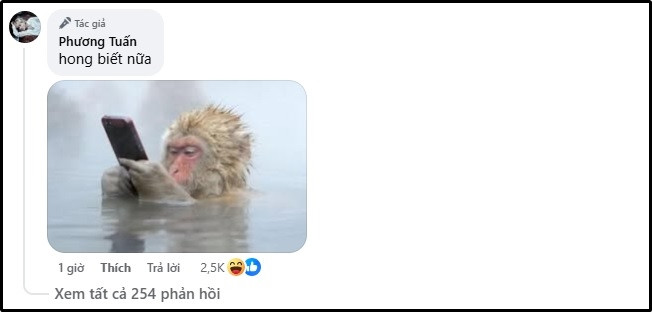 Động thái khó hiểu của Jack sau khi Thiên An lên tiếng xin lỗi