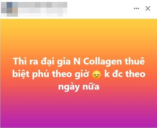 ngan collagen 1.jpg