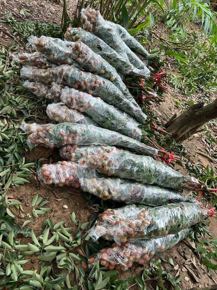 Trend cành vải cắm bình khiến những người mê cắm hoa 'phát sốt'- Ảnh 10.