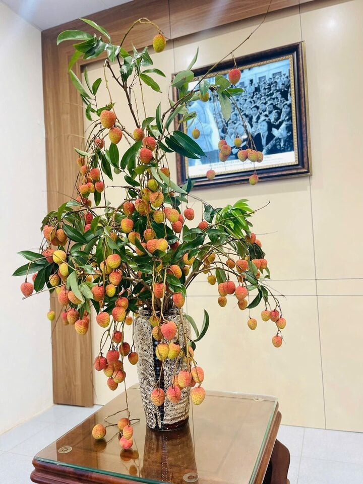 Trend cành vải cắm bình khiến những người mê cắm hoa 'phát sốt'- Ảnh 1.