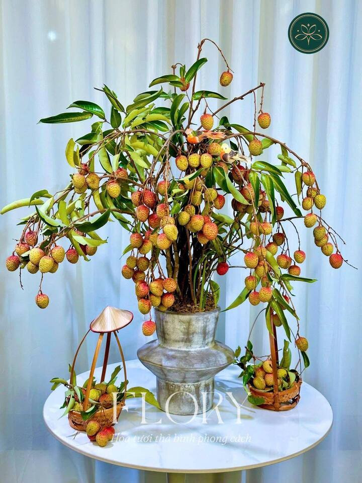 Trend cành vải cắm bình khiến những người mê cắm hoa 'phát sốt'- Ảnh 8.