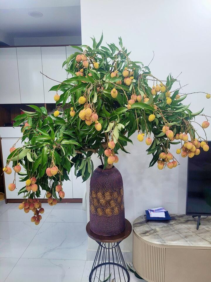 Trend cành vải cắm bình khiến những người mê cắm hoa 'phát sốt'- Ảnh 4.